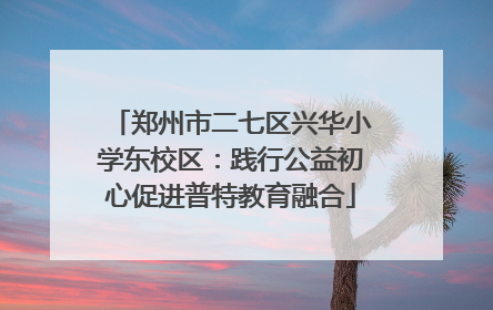 郑州市二七区兴华小学东校区：践行公益初心促进普特教育融合