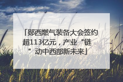 郧西燃气装备大会签约超113亿元，产业“链”动中西部新未来