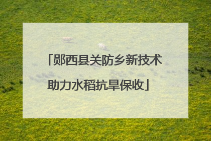 郧西县关防乡新技术助力水稻抗旱保收