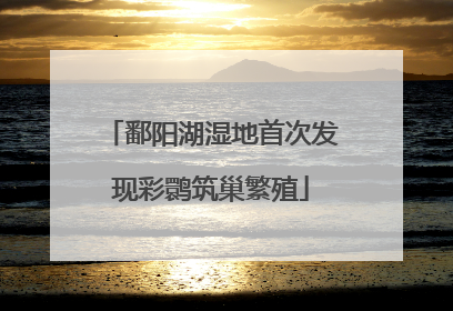 鄱阳湖湿地首次发现彩鹮筑巢繁殖