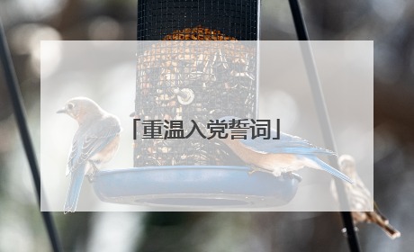重温入党誓词