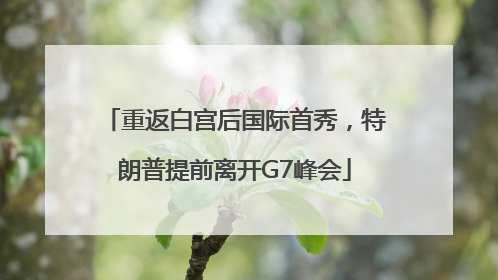 重返白宫后国际首秀，特朗普提前离开G7峰会