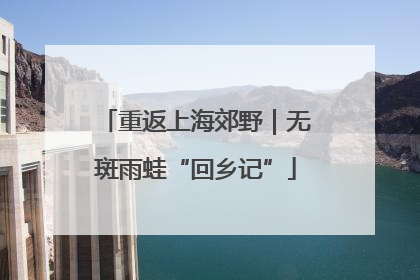 重返上海郊野｜无斑雨蛙“回乡记”