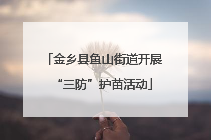 金乡县鱼山街道开展“三防”护苗活动