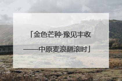 金色芒种·豫见丰收——中原麦浪翻滚时