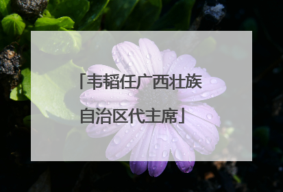 韦韬任广西壮族自治区代主席