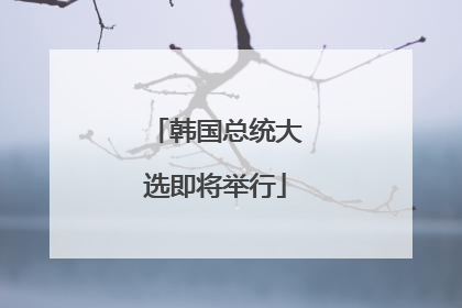韩国总统大选即将举行