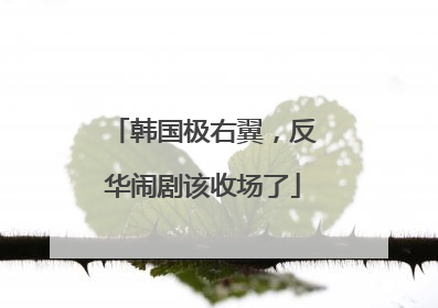 韩国极右翼，反华闹剧该收场了