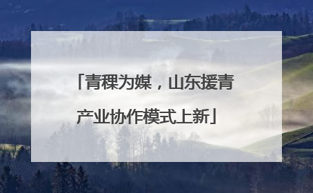 青稞为媒，山东援青产业协作模式上新