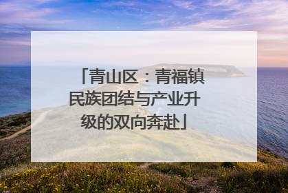 青山区：青福镇民族团结与产业升级的双向奔赴