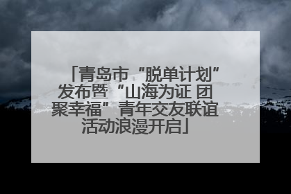 青岛市“脱单计划”发布暨“山海为证 团聚幸福”青年交友联谊活动浪漫开启
