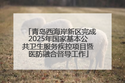 青岛西海岸新区完成2025年国家基本公共卫生服务疾控项目暨医防融合督导工作