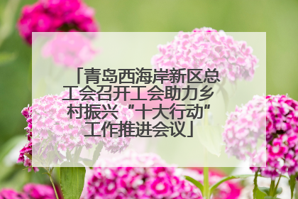 青岛西海岸新区总工会召开工会助力乡村振兴“十大行动”工作推进会议