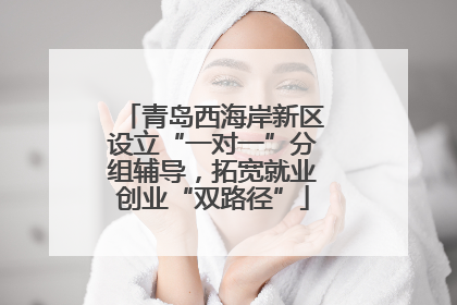 青岛西海岸新区设立“一对一”分组辅导，拓宽就业创业“双路径”