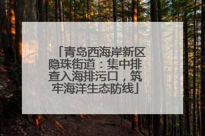 青岛西海岸新区隐珠街道：集中排查入海排污口，筑牢海洋生态防线