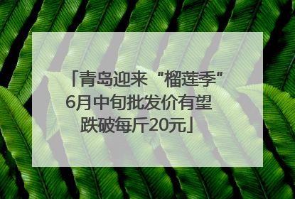 青岛迎来“榴莲季” 6月中旬批发价有望跌破每斤20元