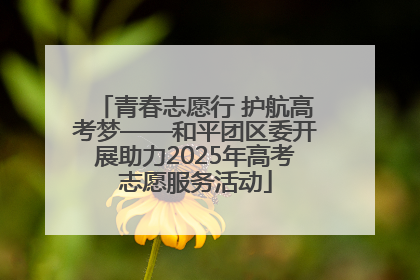 青春志愿行 护航高考梦——和平团区委开展助力2025年高考志愿服务活动