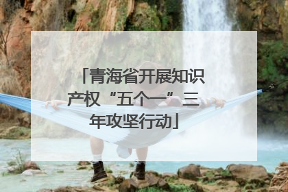 青海省开展知识产权“五个一”三年攻坚行动