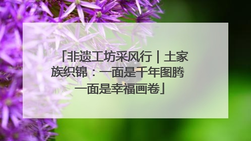 非遗工坊采风行｜土家族织锦：一面是千年图腾 一面是幸福画卷