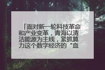 面对新一轮科技革命和产业变革,青海以清洁能源为主线,紧抓算力这个数字经济的“血液”、科技主权的“筹码”、产业升级的“杠杆”、绿色转型的“支点”,勇于撬动国家“双碳”战略、“东数西算”工程重大发展新机遇,点亮绿色算电协同新赛道,蹚出一条符合本地实际的高质量发展之路——青海:“绿色算力” 锚定“东数西算”国家战略布局