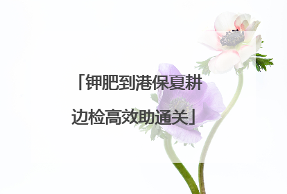 钾肥到港保夏耕 边检高效助通关