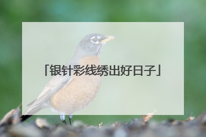 银针彩线绣出好日子