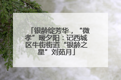 银龄绽芳华，“微孝”暖夕阳：记西城区牛街街道“银龄之星”刘茹月