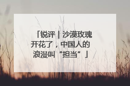 锐评｜沙漠玫瑰开花了，中国人的浪漫叫“担当”