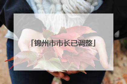 锦州市市长已调整