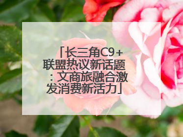 长三角C9+联盟热议新话题：文商旅融合激发消费新活力