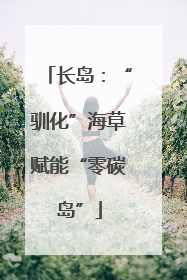 长岛：“驯化”海草赋能“零碳岛”