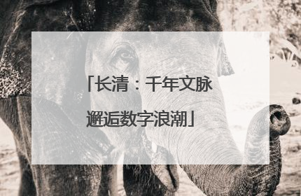 长清：千年文脉邂逅数字浪潮