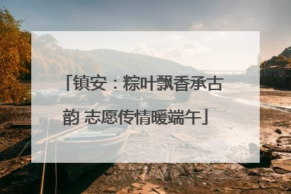 镇安：粽叶飘香承古韵 志愿传情暖端午