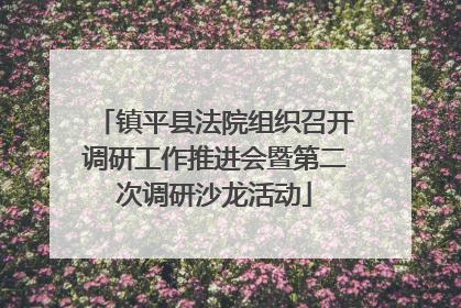 镇平县法院组织召开调研工作推进会暨第二次调研沙龙活动