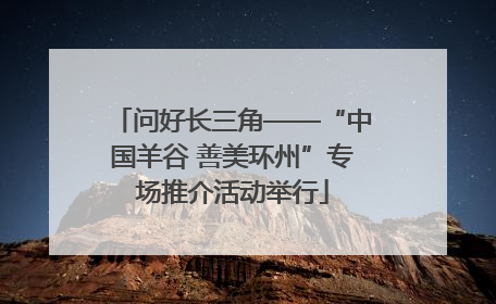 问好长三角——“中国羊谷 善美环州”专场推介活动举行