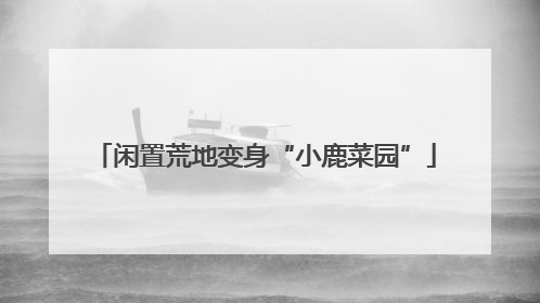 闲置荒地变身“小鹿菜园”