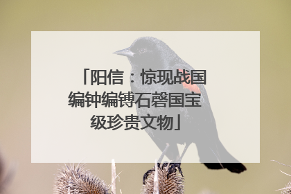 阳信：惊现战国编钟编镈石磬国宝级珍贵文物