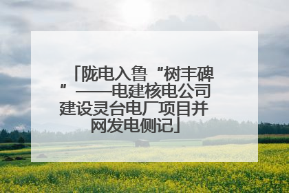 陇电入鲁“树丰碑”——电建核电公司建设灵台电厂项目并网发电侧记