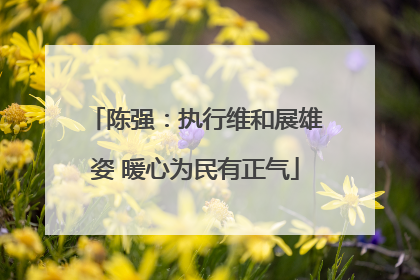 陈强：执行维和展雄姿 暖心为民有正气