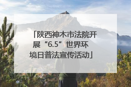 陕西神木市法院开展“6.5”世界环境日普法宣传活动