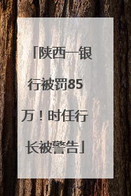 陕西一银行被罚85万！时任行长被警告