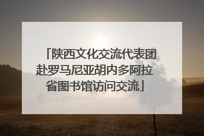 陕西文化交流代表团赴罗马尼亚胡内多阿拉省图书馆访问交流