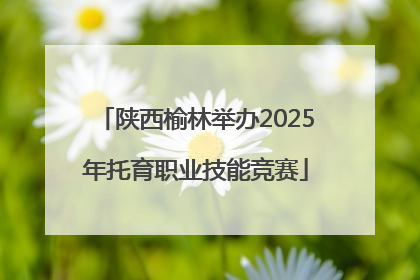 陕西榆林举办2025年托育职业技能竞赛