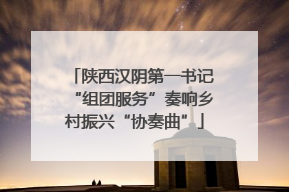 陕西汉阴第一书记“组团服务”奏响乡村振兴“协奏曲”