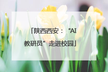陕西西安：“AI教研员”走进校园