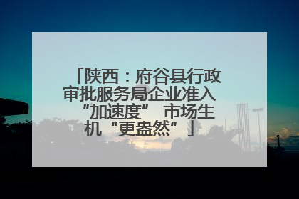 陕西：府谷县行政审批服务局企业准入“加速度” 市场生机“更盎然”
