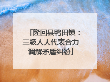 隆回县鸭田镇：三级人大代表合力调解矛盾纠纷