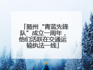 随州“青蓝先锋队”成立一周年，他们活跃在交通运输执法一线