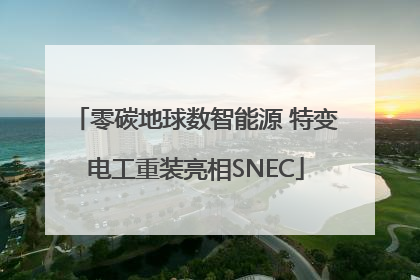 零碳地球数智能源 特变电工重装亮相SNEC