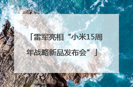雷军亮相“小米15周年战略新品发布会”
